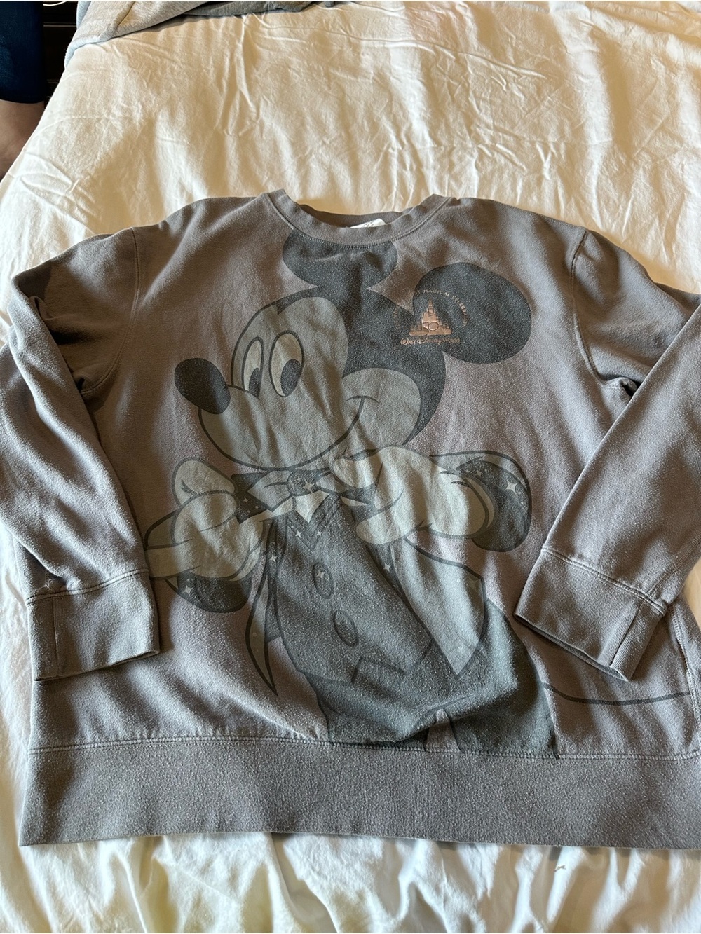 Disney Mickey Mouse Walt Disney World 50th Gray Sweatshirt Large